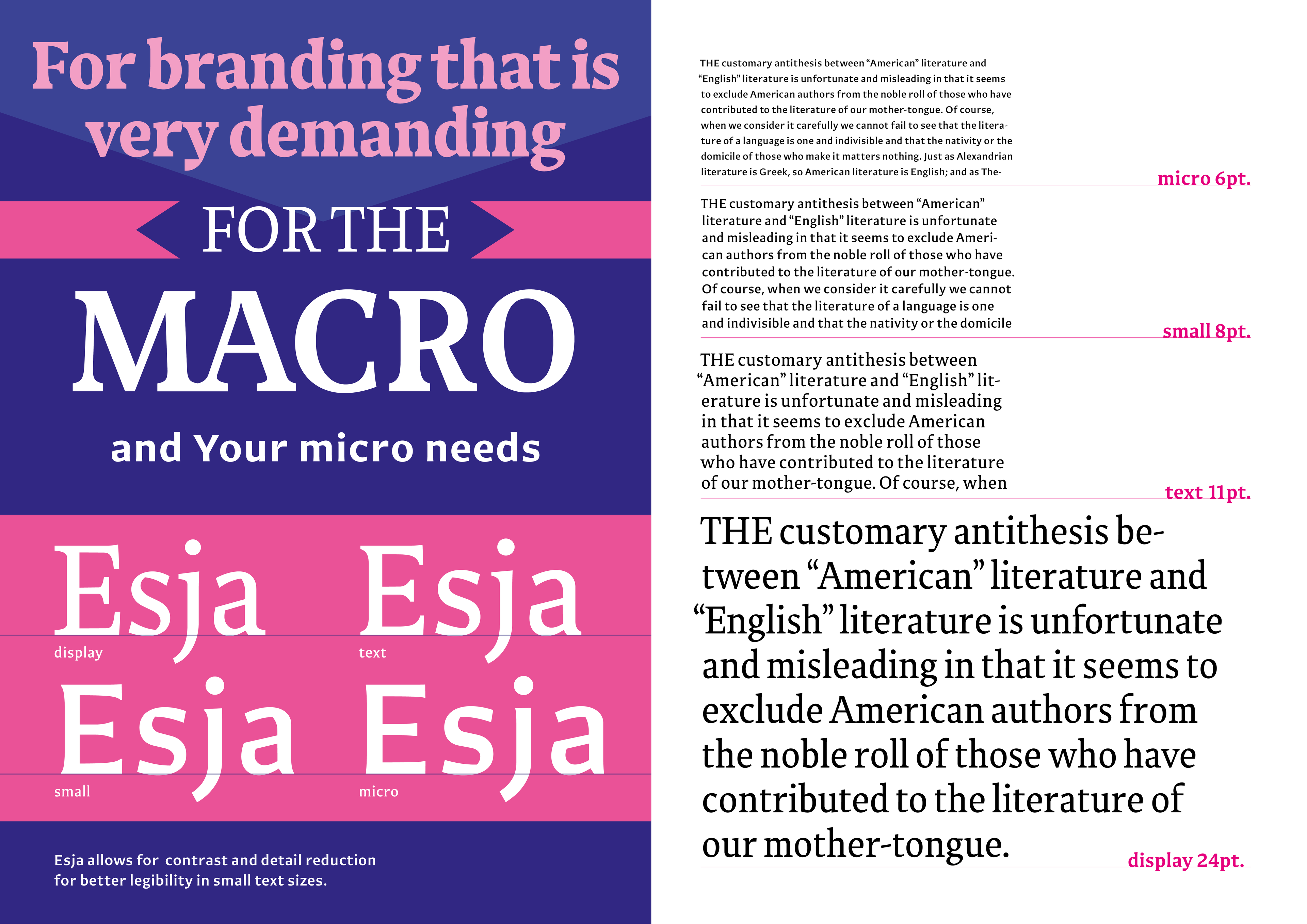 Image showing various weights and styles of the Esja typeface with text 'For branding that is very demanding and for your MACRO and MICRO needs, Esja, Esja, Esja, Esja.' in different sizes and styles.