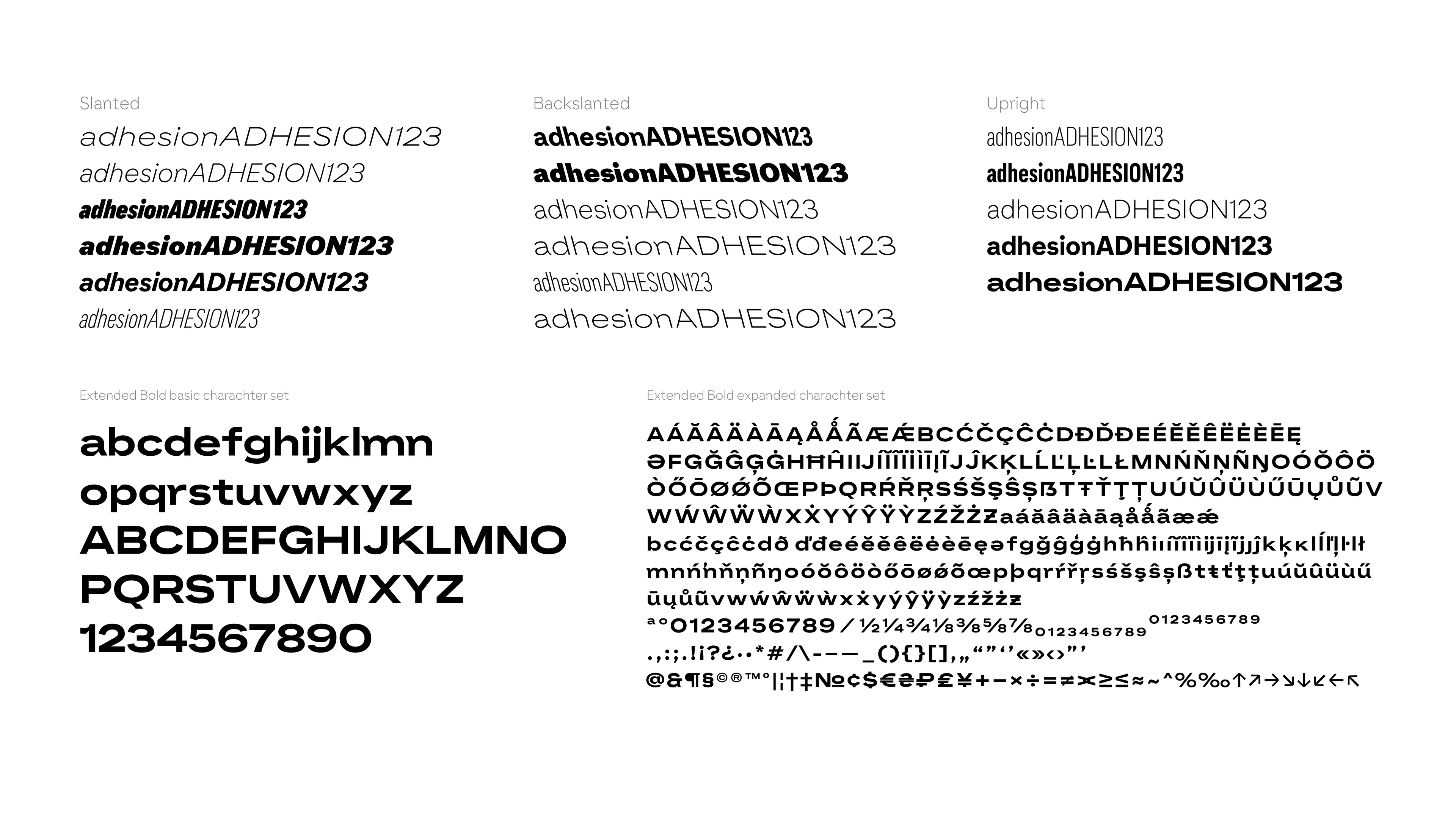 Image displaying various styles and weights of FC24 typeface for Ellectronic Arts.
