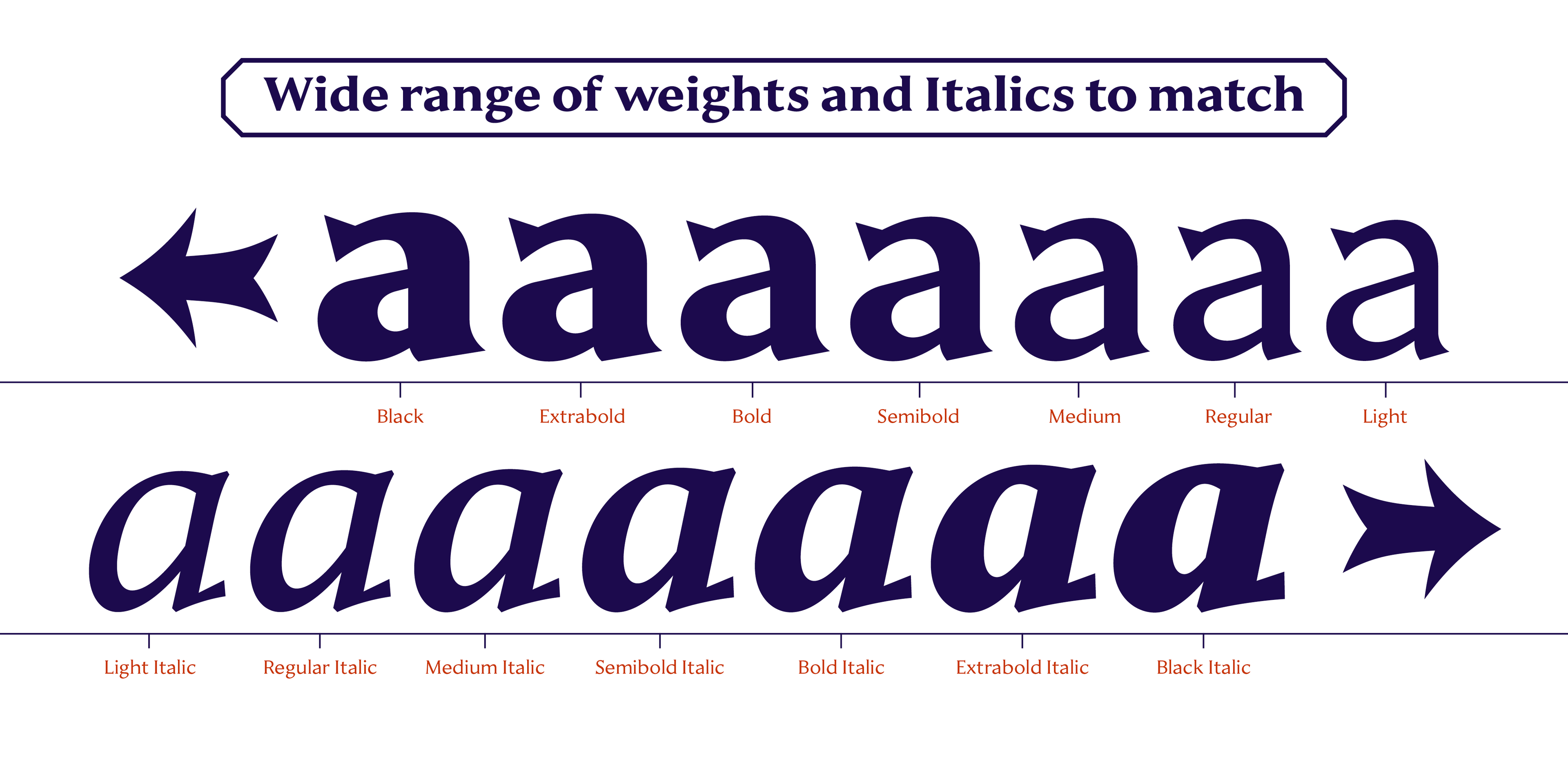 Text samples demonstrating the wide range of weights and italics available in the Janek typeface, with repeated 'aaaaaaa' in different styles.
